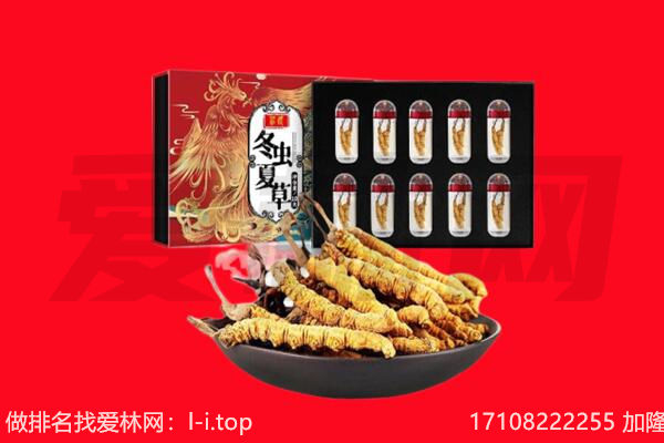 南宁市回收虫草.jpg
